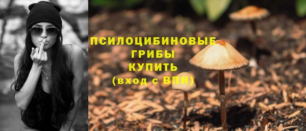 сатива Липки