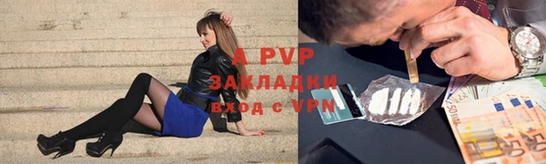твердый Майский