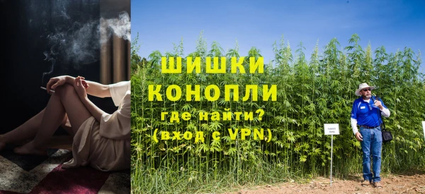 сатива Липки