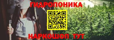 эйфоретик Гатчина