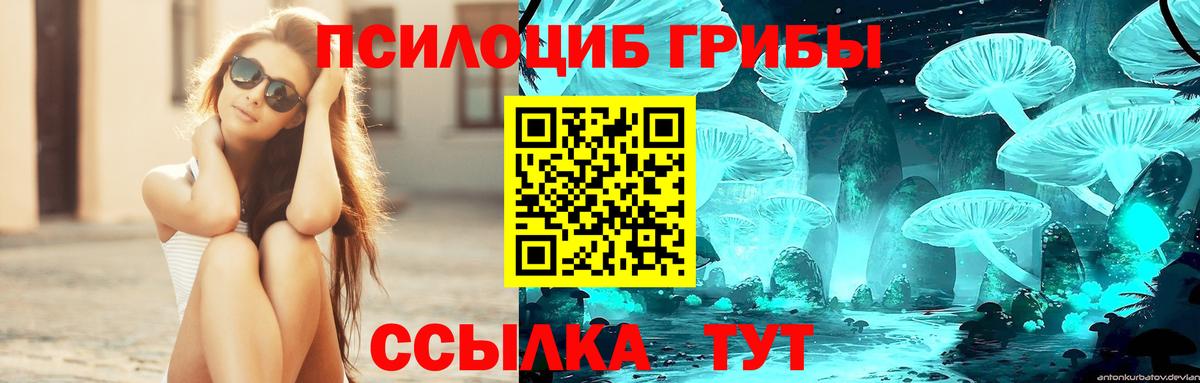 Галлюциногенные грибы Cubensis  Улан-Удэ 