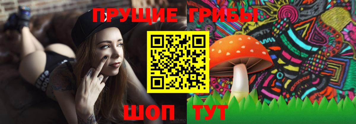 Псилоцибиновые грибы Cubensis Улан-Удэ